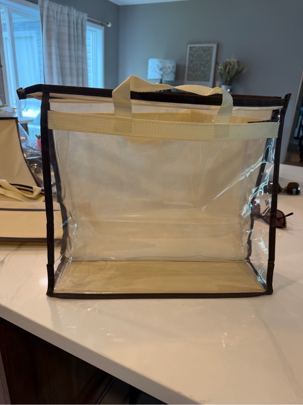 Clear Storage Tote for handbags or miscellaneous storage